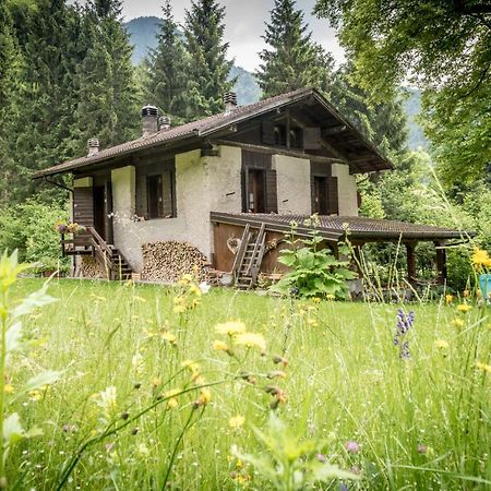 Вилла Chalet Silenthia Ленцумо-ди-Кончеи Экстерьер фото