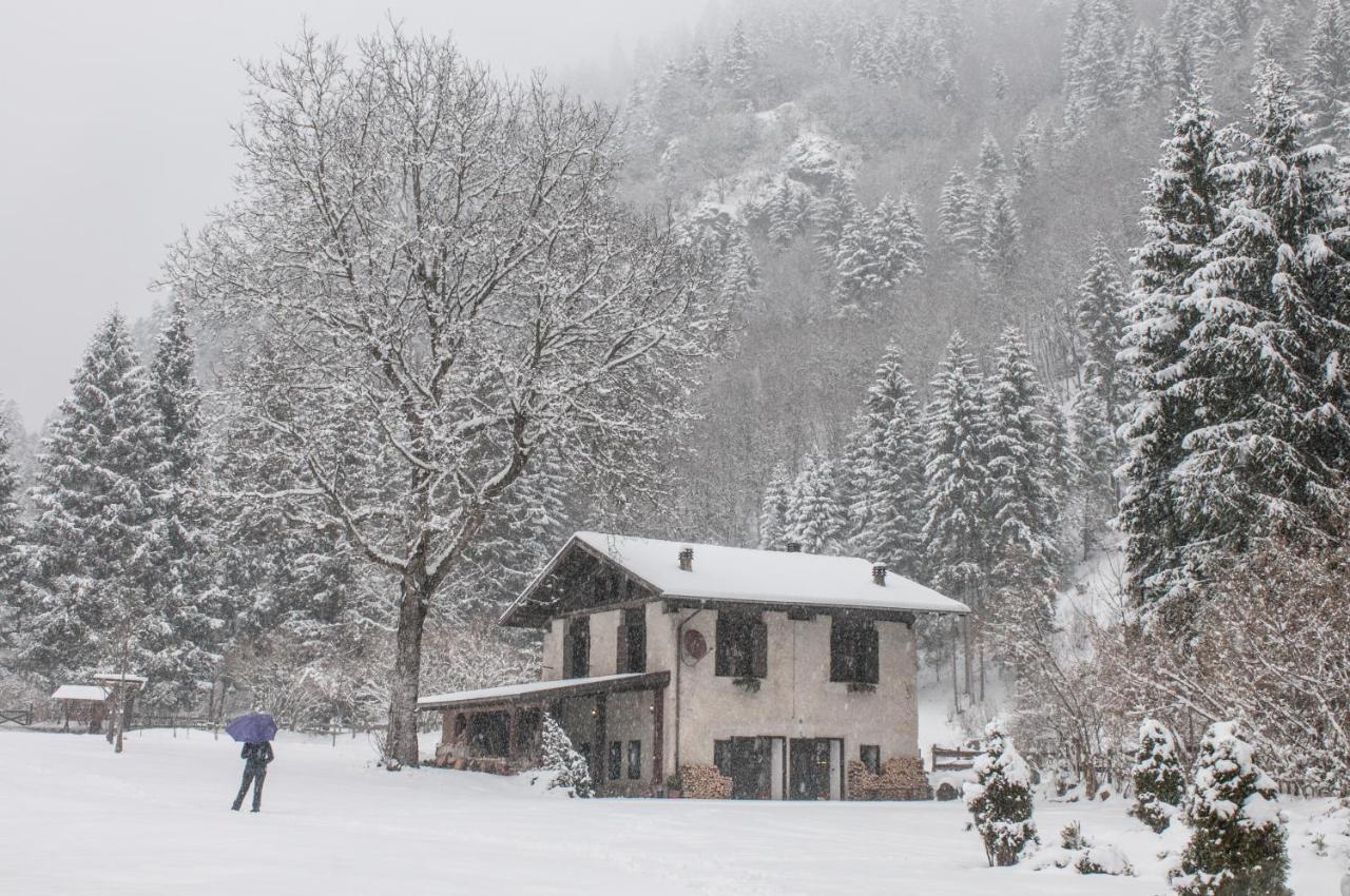 Вилла Chalet Silenthia Ленцумо-ди-Кончеи Экстерьер фото